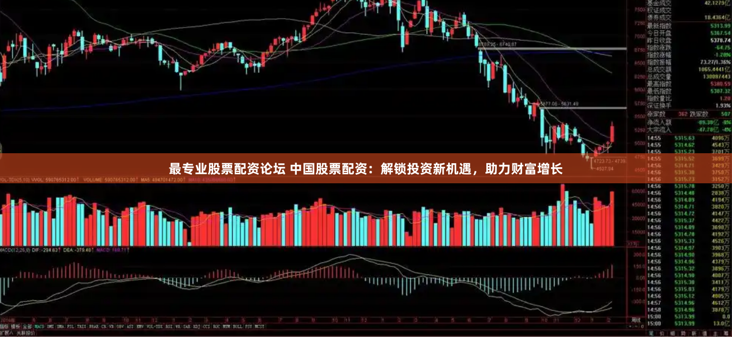 最专业股票配资论坛 中国股票配资：解锁投资新机遇，助力财富增长