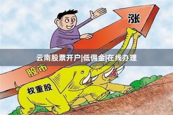 云南股票开户|低佣金|在线办理
